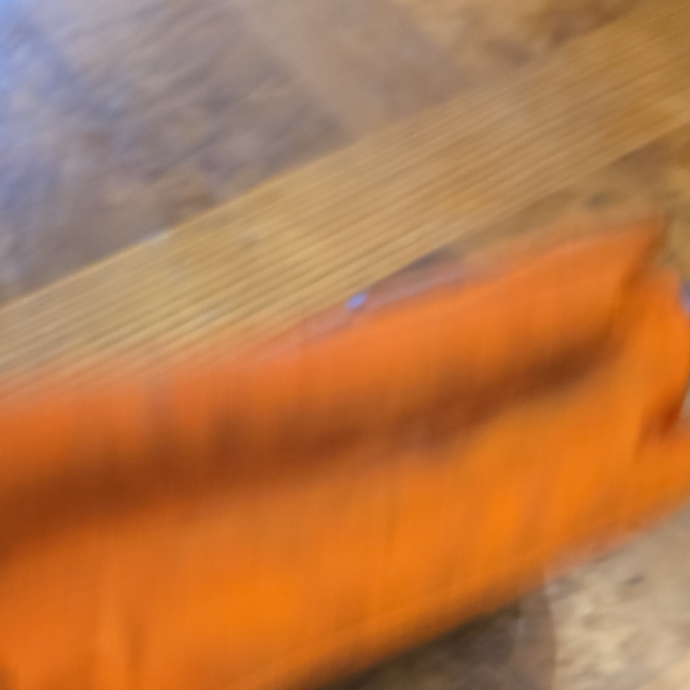 Dooney & Bourke Vibrant Orange Bag - Picture 3 of 8